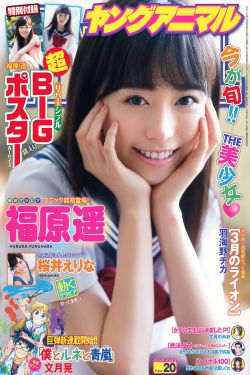 山海情在线观看全集免费版
